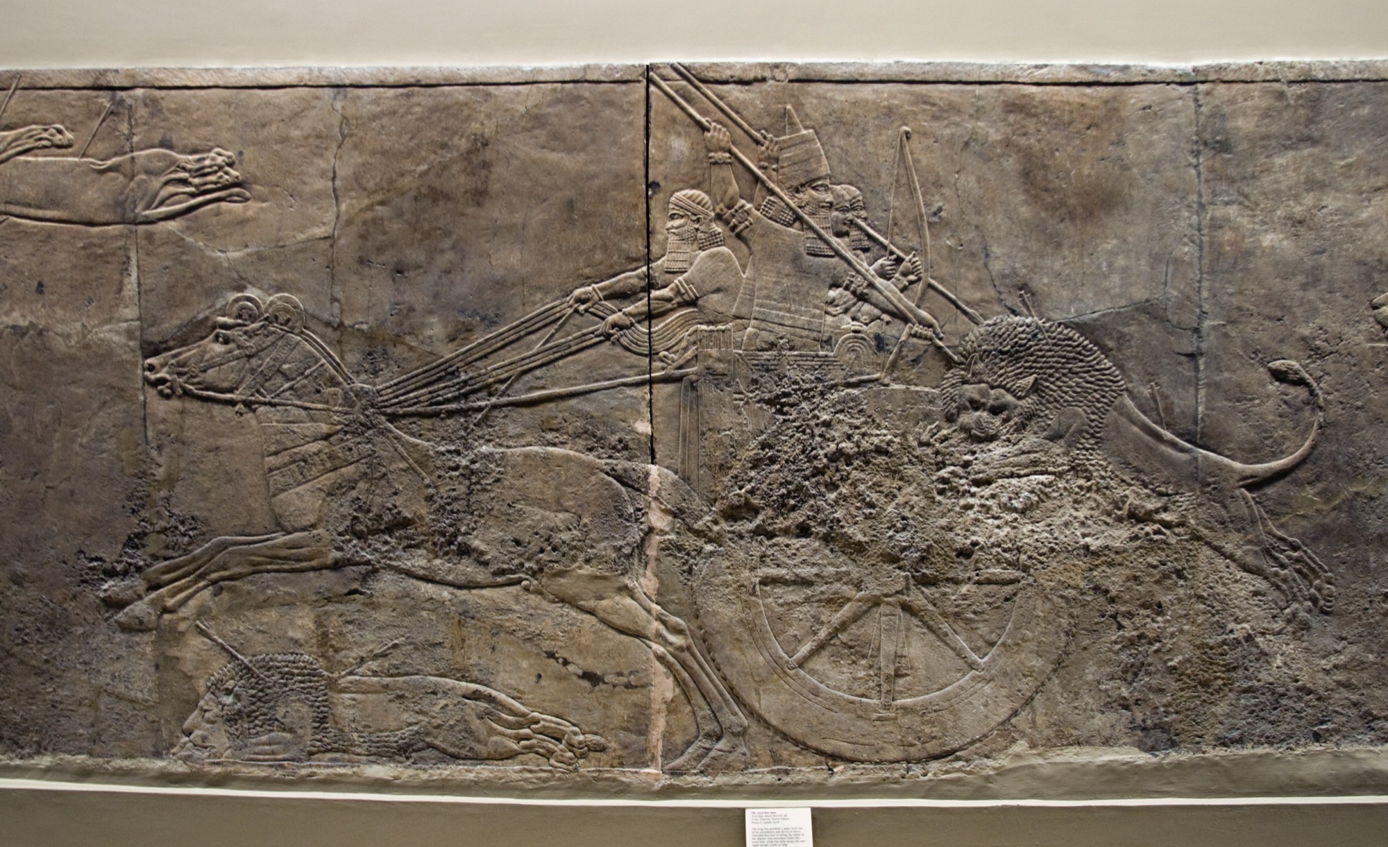Relieve neoasirio con un carro durante una cacería real; la escena forma parte de la iconografía del poder de la corte.