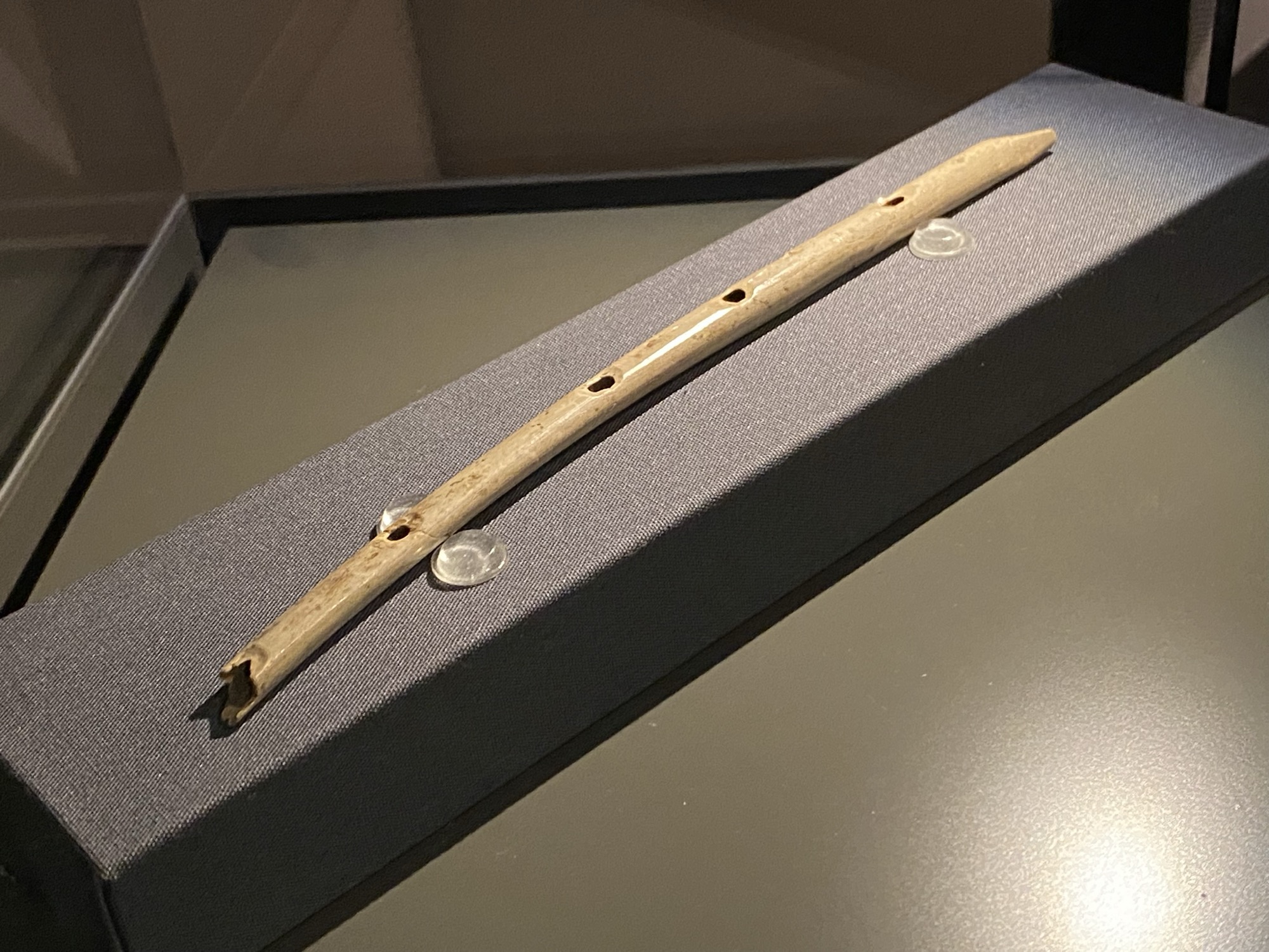 Flauta auriñaciense fabricada con hueso de buitre y hallada en Hohle Fels, en el Jura de Suabia.