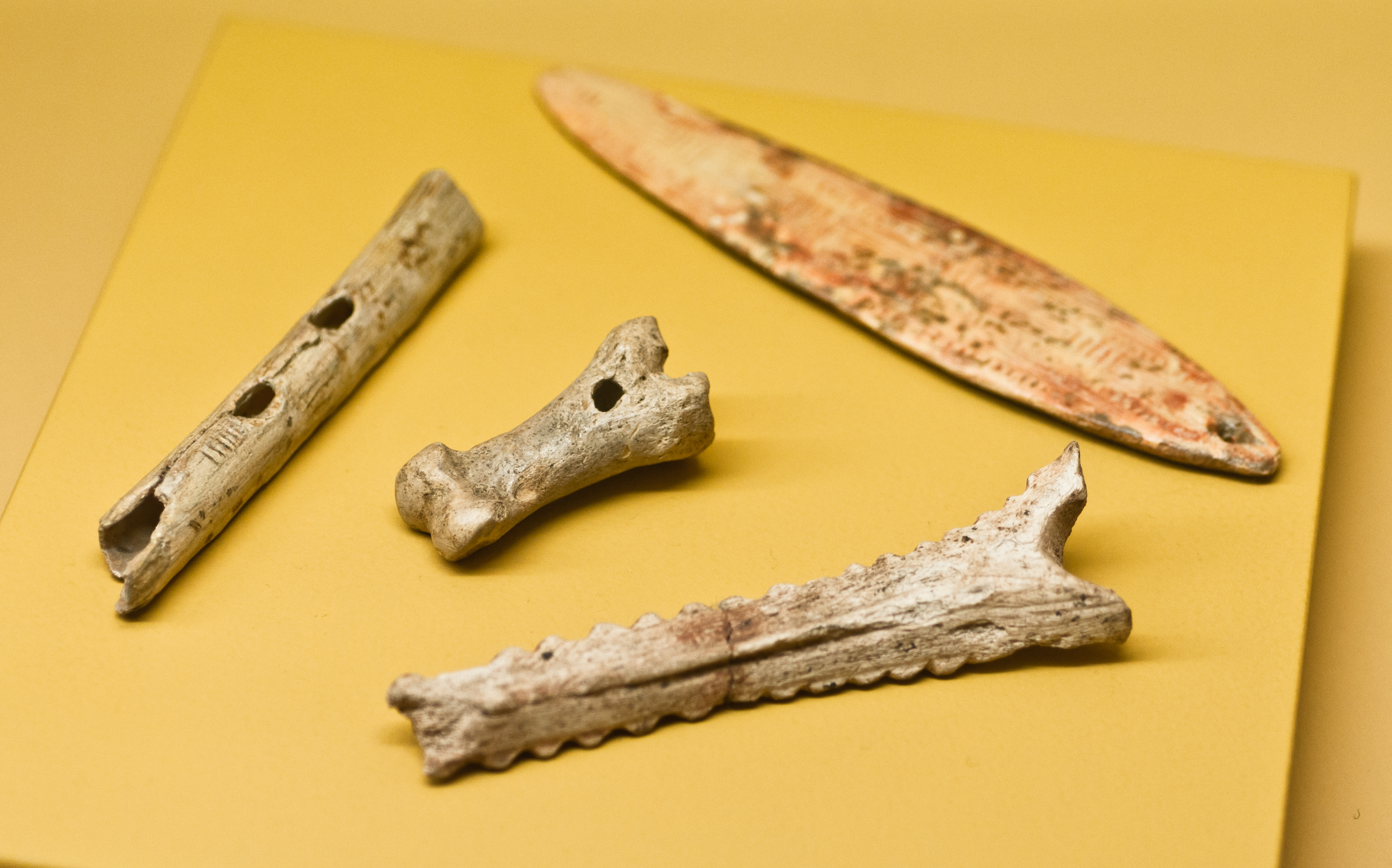 Varios instrumentos prehistóricos de hueso dispuestos en una vitrina de museo.